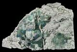 Blue-Green Fluorite on Sparkling Quartz - China #147031-1